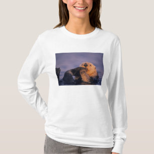 Camiseta Nutria marina, Enhydra lutris
