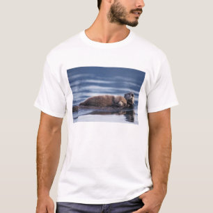 Camiseta nutria marina, Enhydra lutris lutris