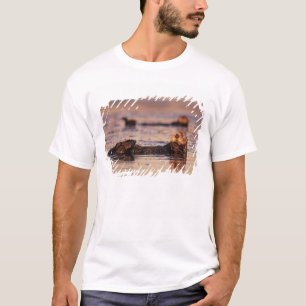 Camiseta Nutrias de mar, Enhydra lutris 3
