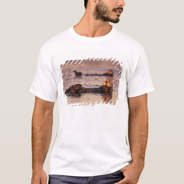 Camiseta Nutrias de mar, Enhydra lutris 3 (Anverso)