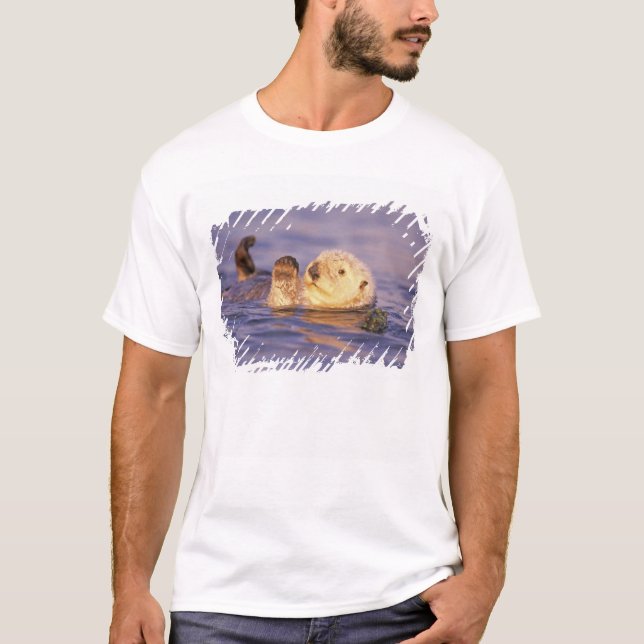 Camiseta Nutrias marinas, Enhydra lutris (Anverso)