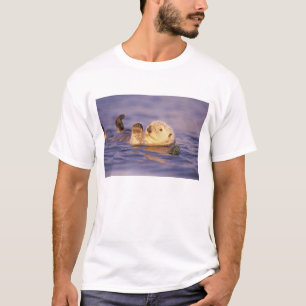 Camiseta Nutrias marinas, Enhydra lutris