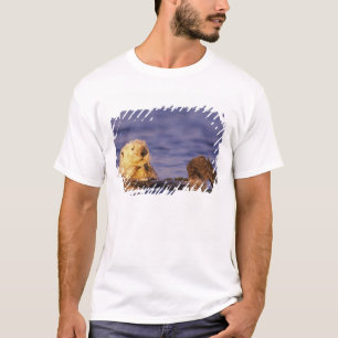Camiseta Nutrias marinas, Enhydra lutris 4