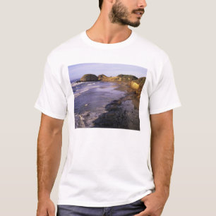 Camiseta O, Costa de Oregón, Newport, litoral en Seal