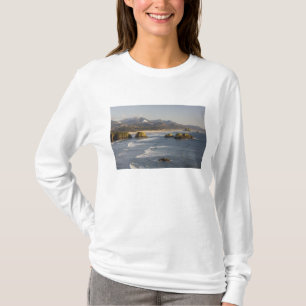 Camiseta O, Costa de Oregón, Parque Estatal Ecola, vista de