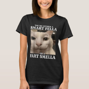 Camiseta O eres un chico inteligente o un gato de felpa