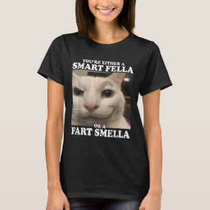 Camiseta O eres un chico inteligente o un imbécil gracioso
