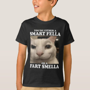 Camiseta O eres un chico inteligente o un imbécil gracioso