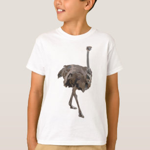 Camiseta O es para Ostrich