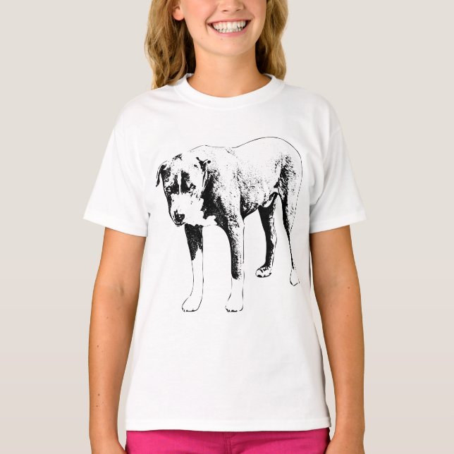 Camiseta Observatorio de invierno de Pit Bull (Anverso)