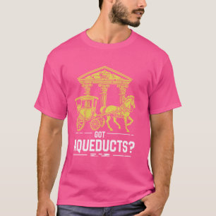 Camiseta Obtuve acueductos Imperio Romano