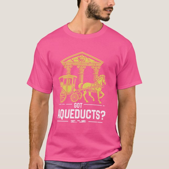 Camiseta Obtuve acueductos Imperio Romano (Anverso)