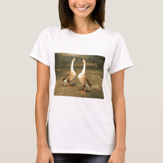 Camiseta Ocas