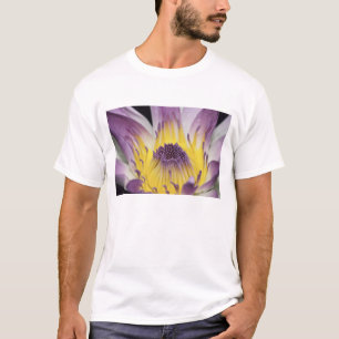 Camiseta Oceanía, Fiji, Purple Panama Pacifica Nymphea