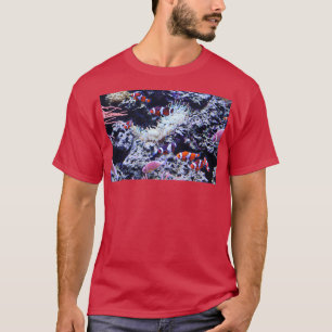 Camiseta Ocellaris Clowfish en el acuario Tennessee