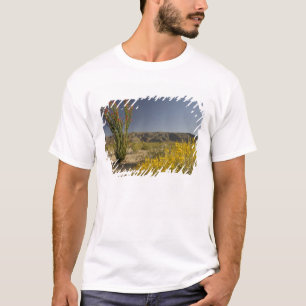 Camiseta Ocotillo y sen del desierto