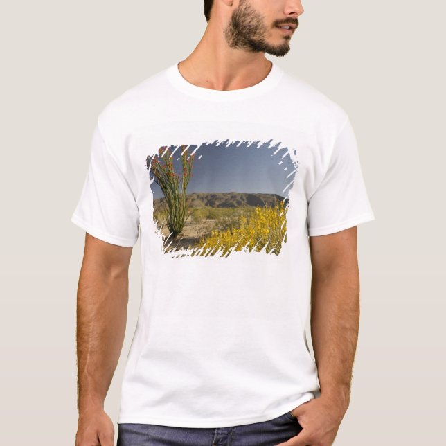 Camiseta Ocotillo y sen del desierto (Anverso)