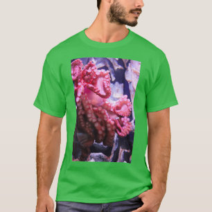 Camiseta Octopus sosteniendo una jarra en el acuario de Ten