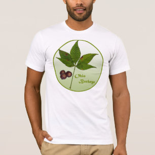 Camiseta Ohio Buckeye Tree