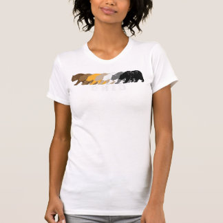 Camiseta Ohio Gay Bear Dolorido