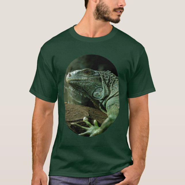 Camiseta Ojo de la iguana (Anverso)