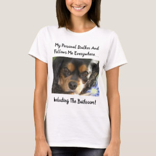 Camiseta Ojos de Cavalier King Charles acosador personal