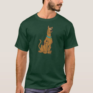 Camiseta Ojos del perrito de Scooby-Doo