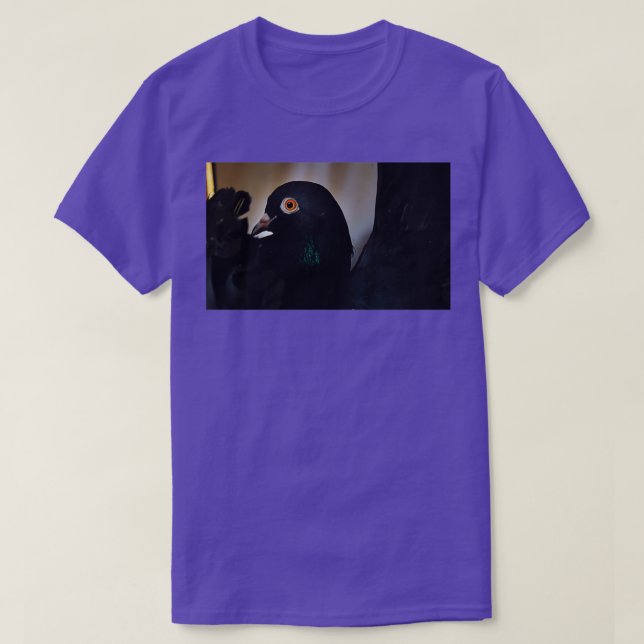 Camiseta Ojos Naranjas de paloma negra (Diseño del anverso)
