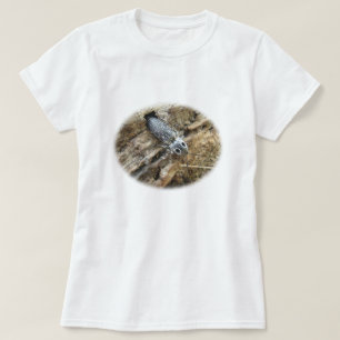 Camiseta Ojos Orientales Elater Click Beetle - Alaus oculat