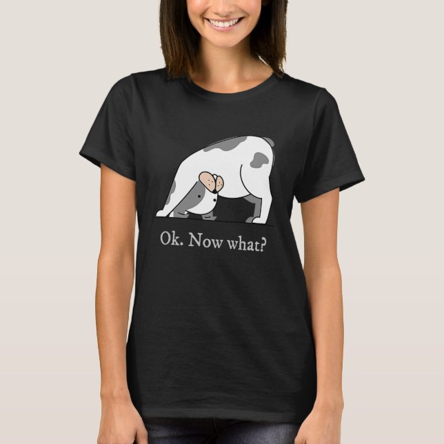 Camiseta Ok Now What Yoga Downward Dog Workout (Anverso)