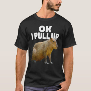 Camiseta Ok, Tira De Capybara Funny Capybara Lover Me Danqu