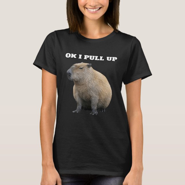 Camiseta Ok, Tira Del Capibara (Anverso)
