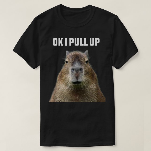 Camiseta Ok, Tira Del Capibara (Diseño del anverso)