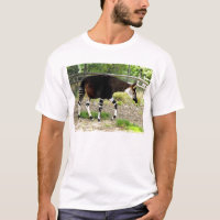 Okapi