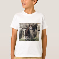 okapi