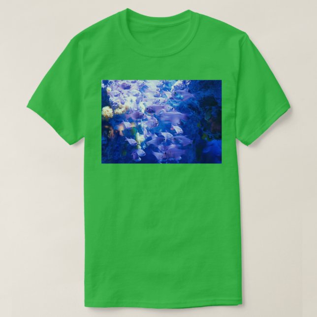 Camiseta Okinawan Fish (Diseño del anverso)