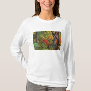 Camiseta Okochi Sanso, Arashiyama, Kyoto, Japón 5