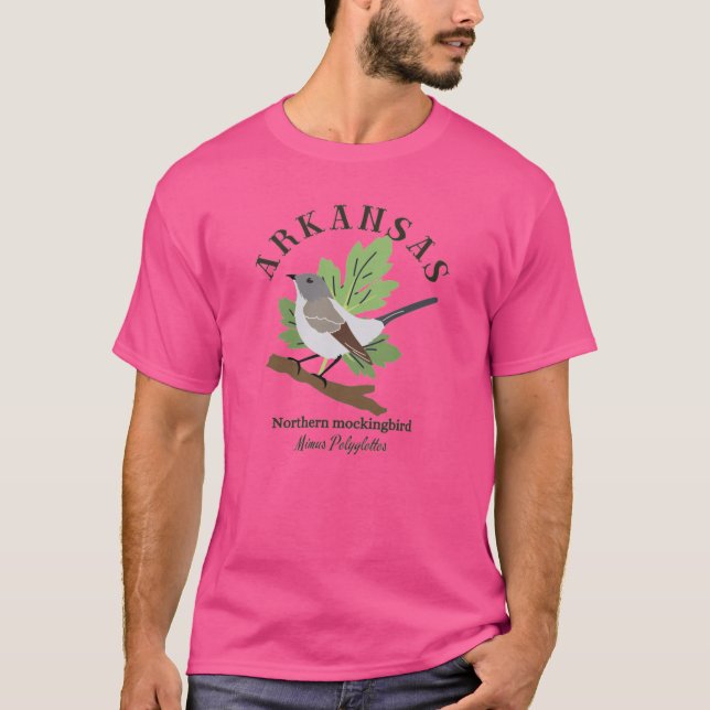 Camiseta OldFashioned Arkansas Northern Mockingbird Brown T (Anverso)