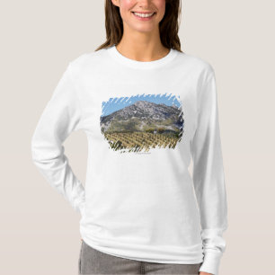Camiseta Olivares