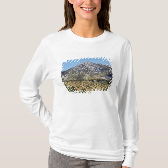 Camiseta Olivares (Anverso)