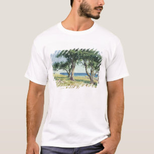 Camiseta Olivos viejos, Bordighera