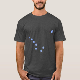 Camiseta OlvídameNo Alaska