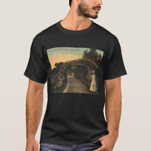 Camiseta Omaha Nebraska 1913 Hanscom Park Vintage