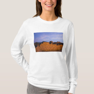 Camiseta Omán, región de Dhofar, Salalah. Al Baleed