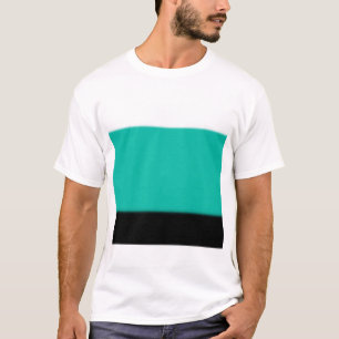 Camiseta Ombre verde azulado