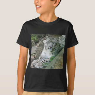 Camiseta Onza 1