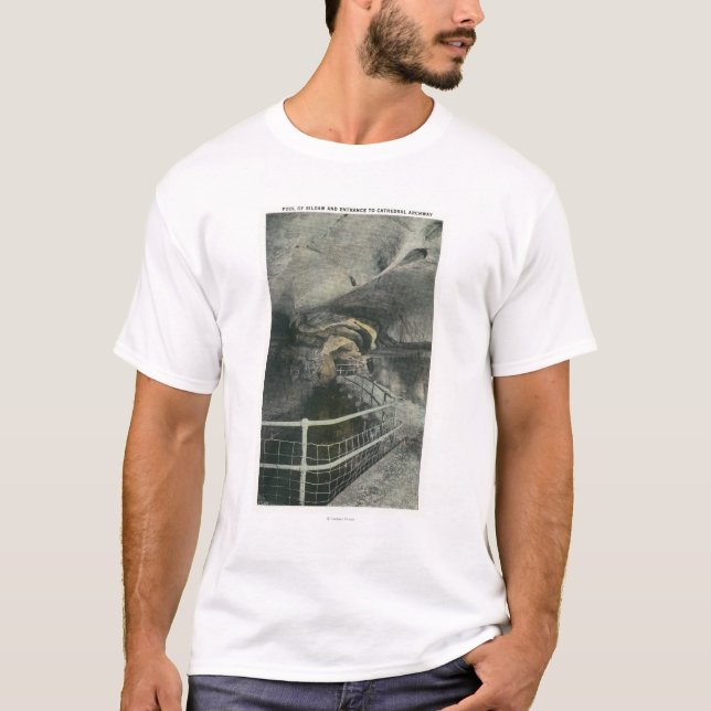 Camiseta Opinión de la arcada de la catedral de la piscina (Anverso)