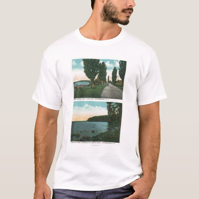 Camiseta Opinión de la impulsión de Champlain del lago (Anverso)