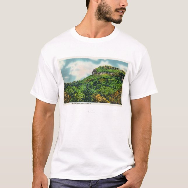 Camiseta Opinión de parque de estado de la muesca de (Anverso)