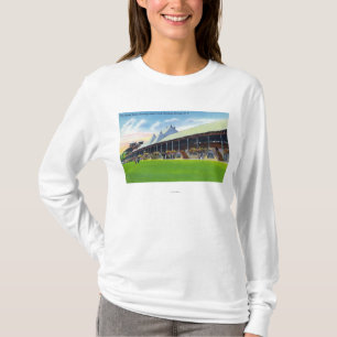 Camiseta Opinión de Racegrounds del soporte magnífico en la